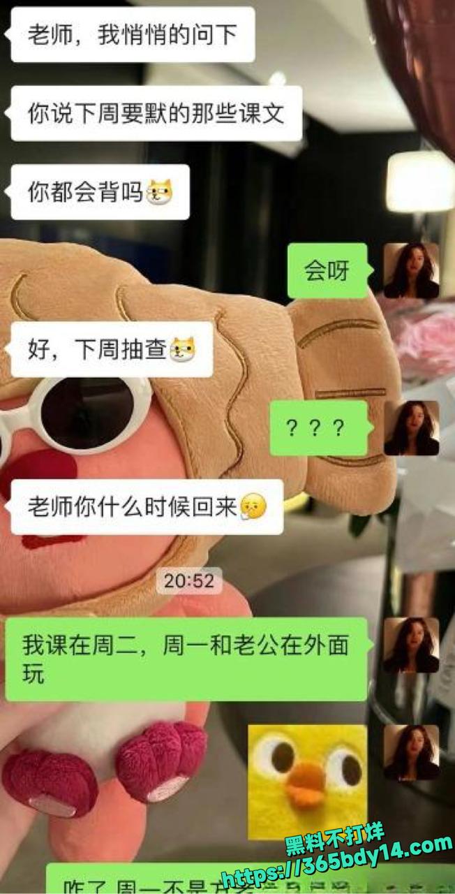 极品身材博主我是一只羊私拍合集23.