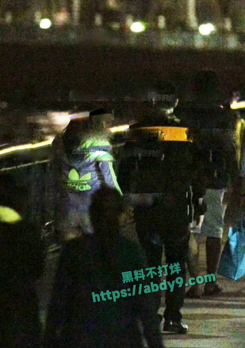 香港男星苏永康出轨嫩模被拍 11