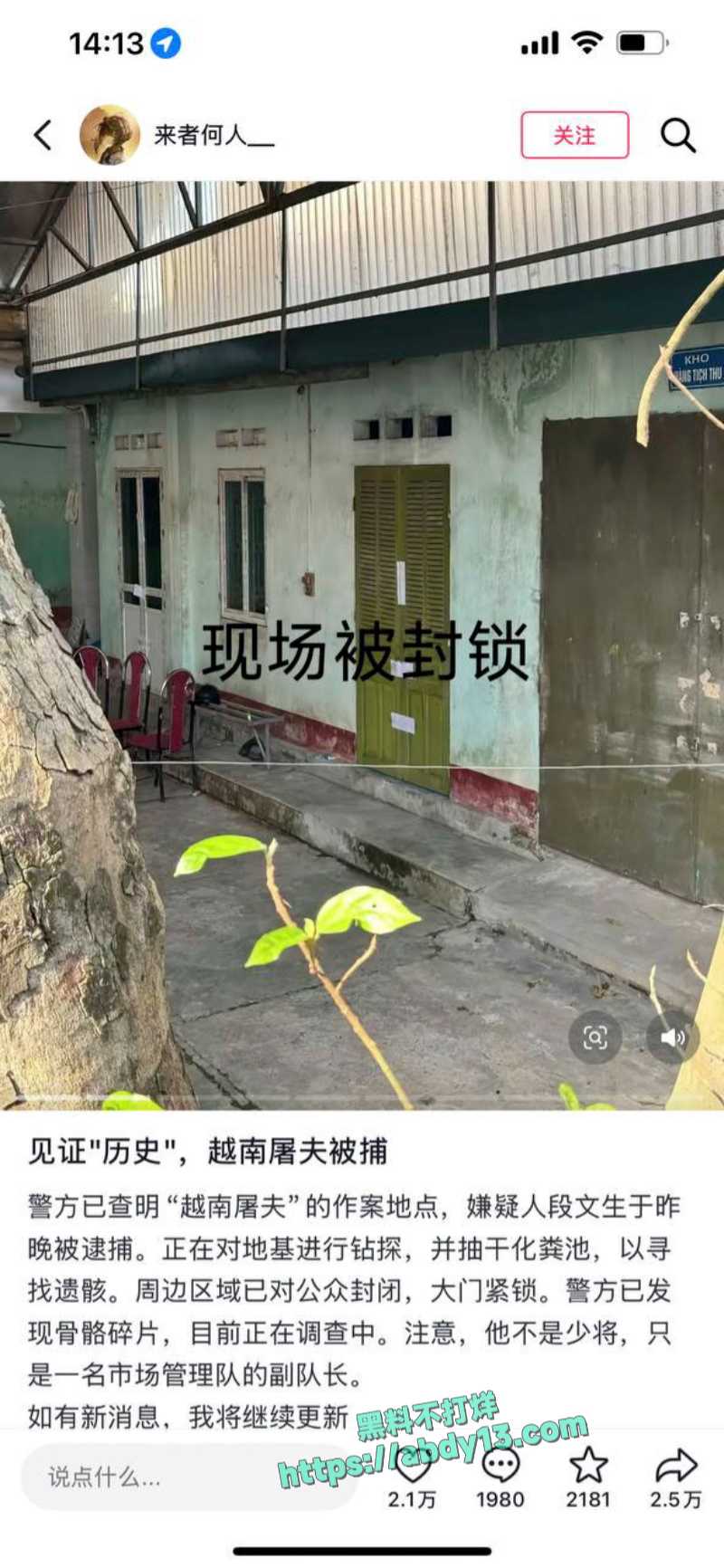 越南屠夫案凶手被捕 1