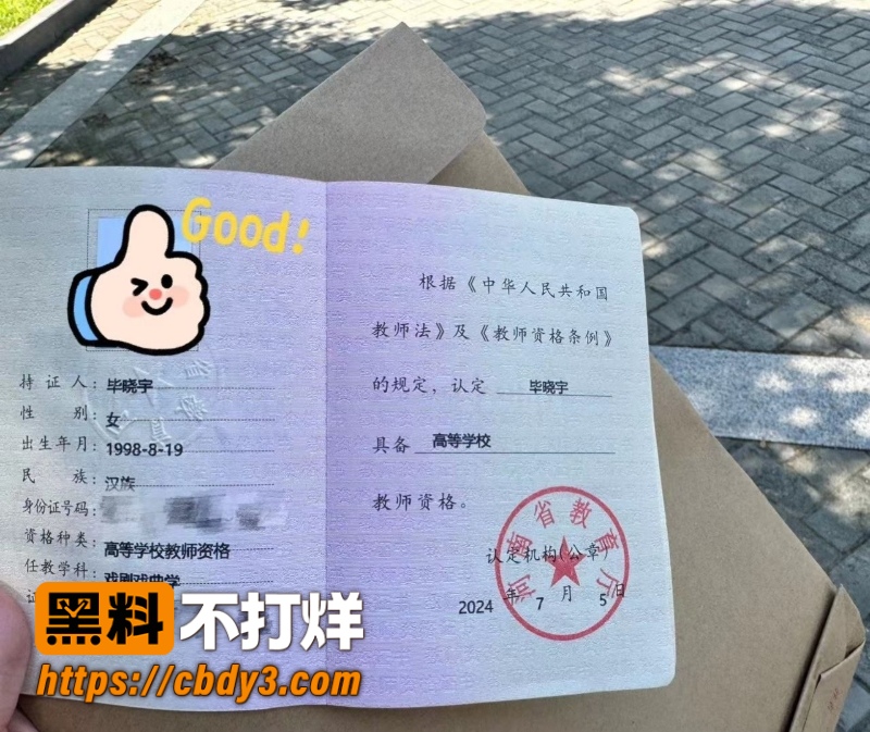毕晓宇 11