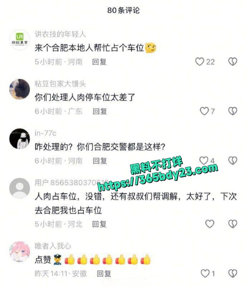 奥特莱斯停车场视频车主碰到阿姨人肉占车位2
