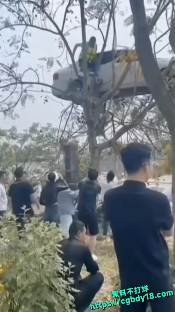 宜宾长宁飞车 上树2
