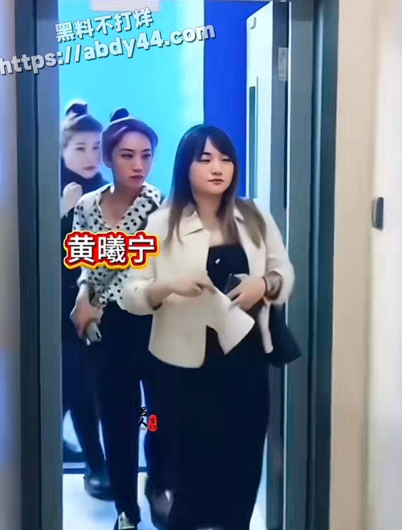 胡歌的瓜11