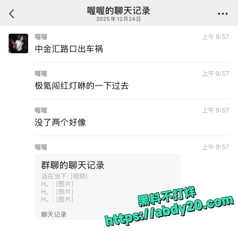 中金汇路口极氪闯红灯撞车1