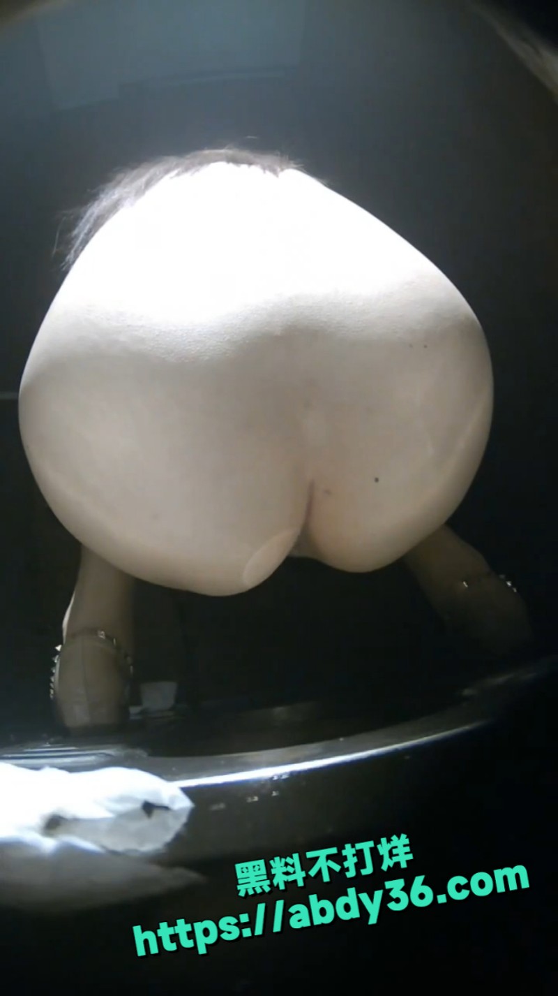 主人的任务 3