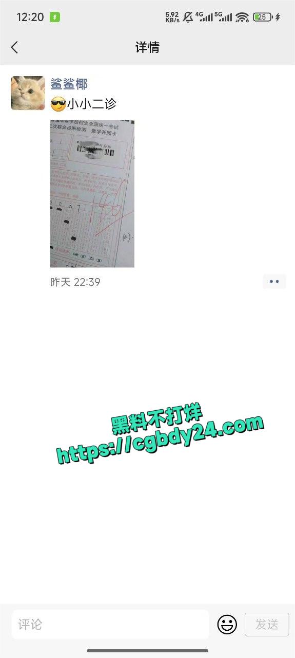武汉叶莎莎13