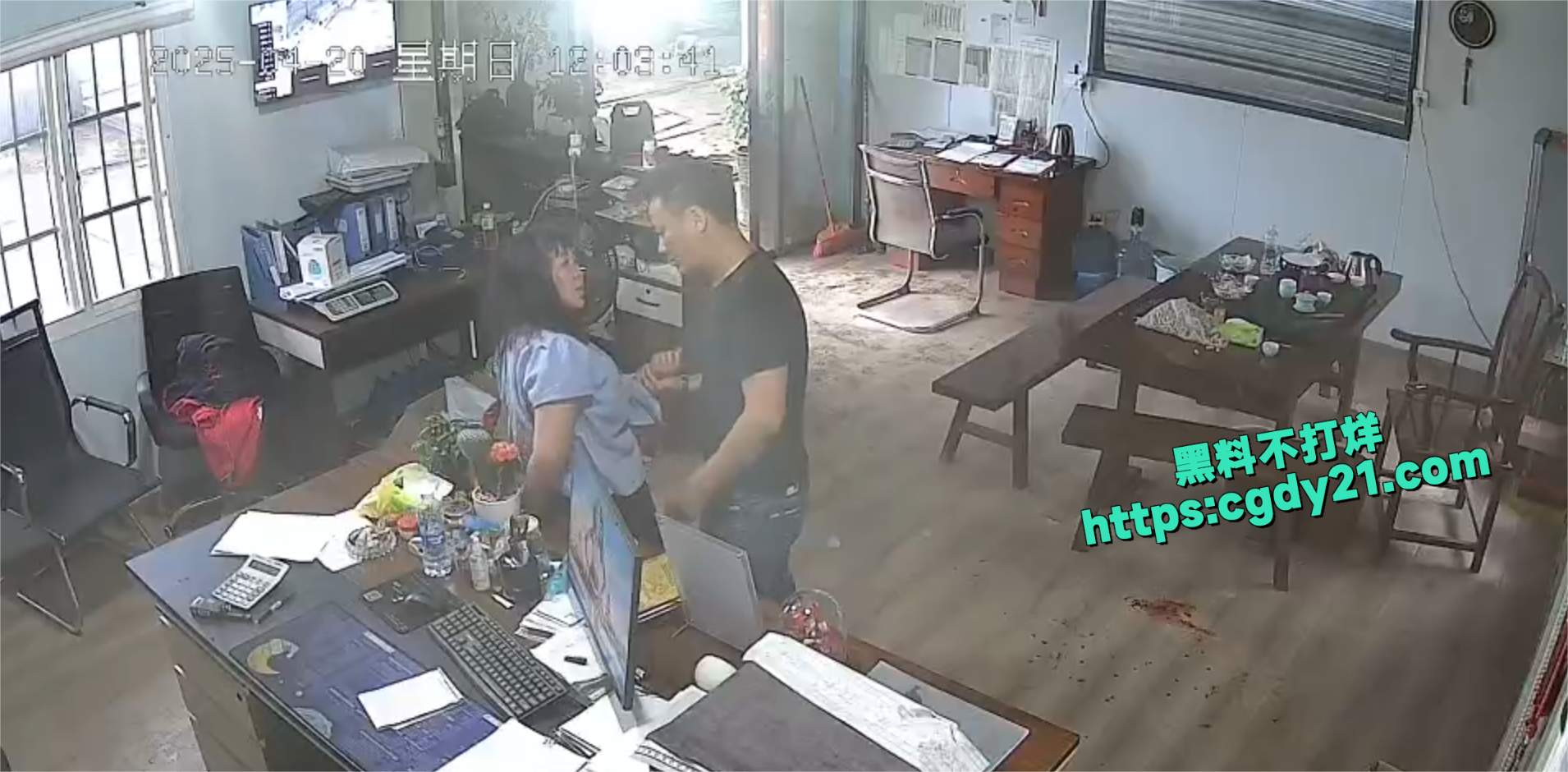 宏青钢铁老板家暴画面4