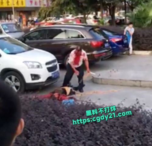 街头杀人肠子都拽出来了2