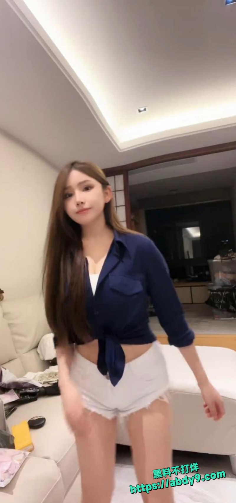 晶骡子4