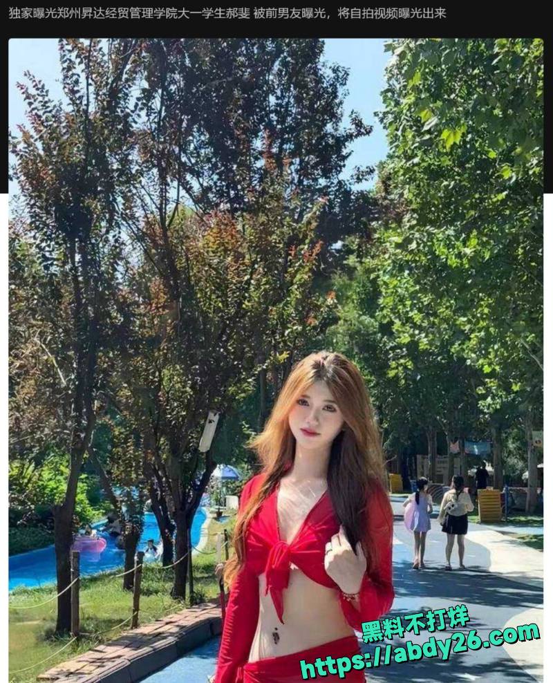 郑州昇达经贸郝斐自拍不雅视频 1