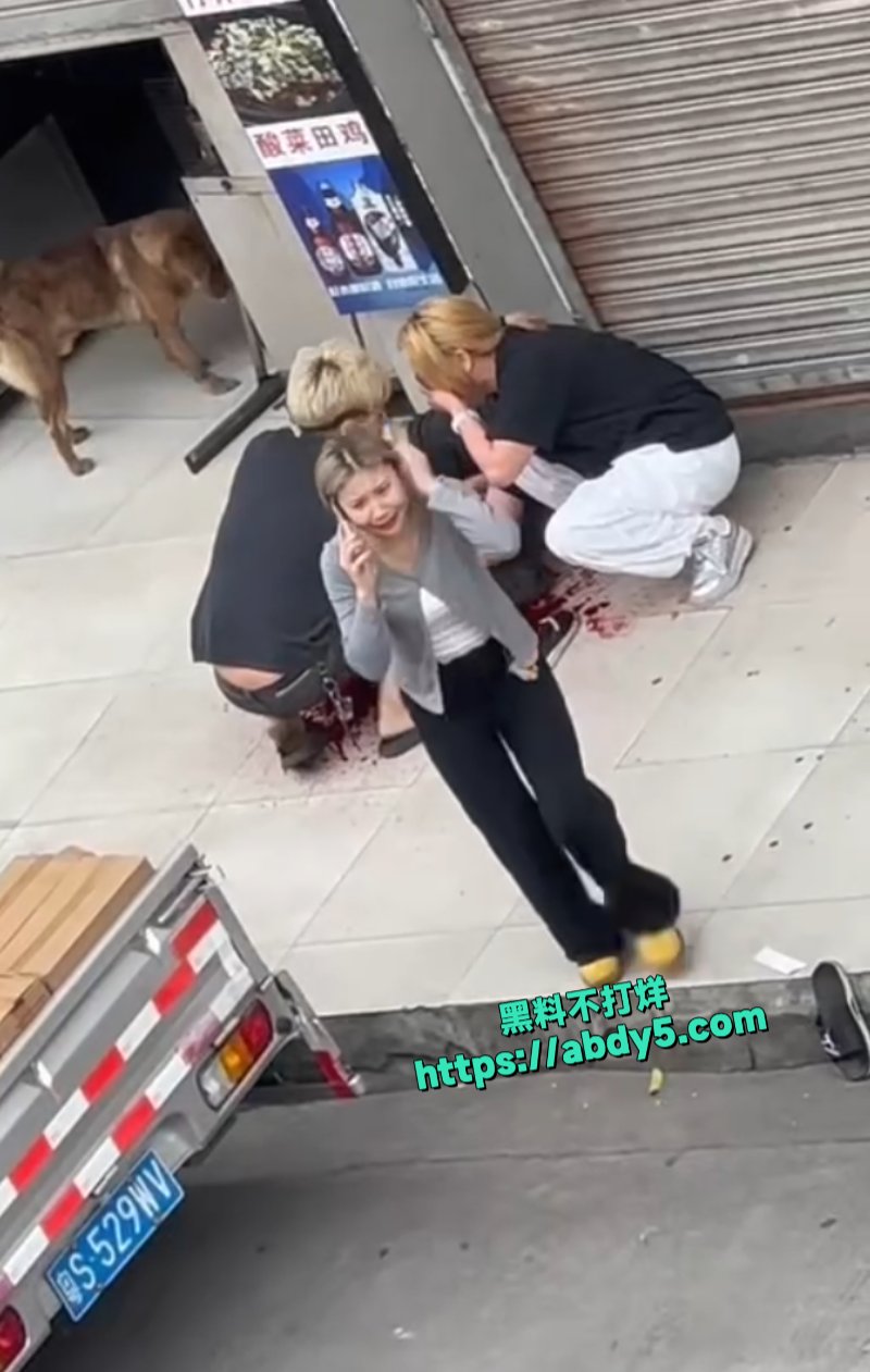 打架变成了砍人4