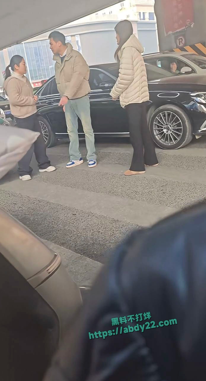 河南奔驰哥帮小三当街殴打原配 8