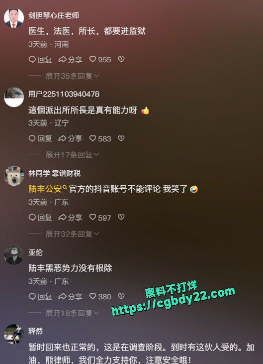 广东陆丰打人案，4月25日在陆河县人民法院异地重审11