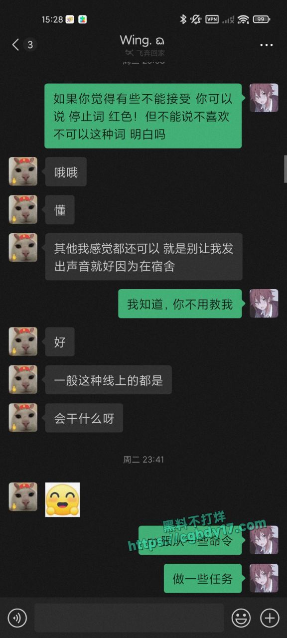 上海某学院的在校19岁女大学生王佳冀 在求主人调教他4