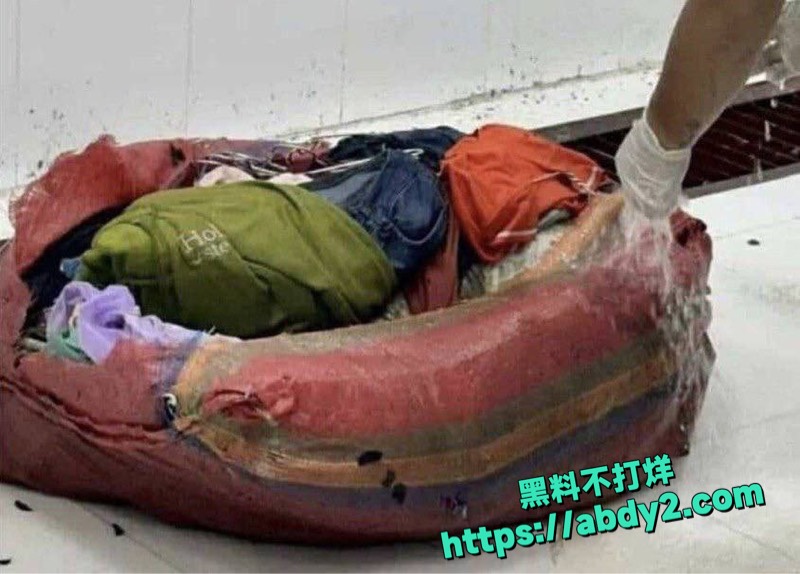 越南夫妻出轨分尸案曝光4