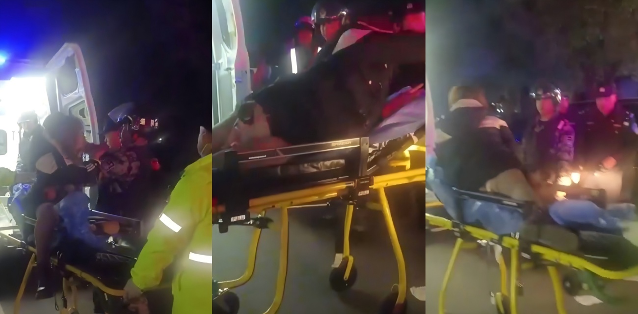 猎奇女子饥渴难耐 强奸爱犬吉娃娃 事后难以拔出 消防队120都来啦