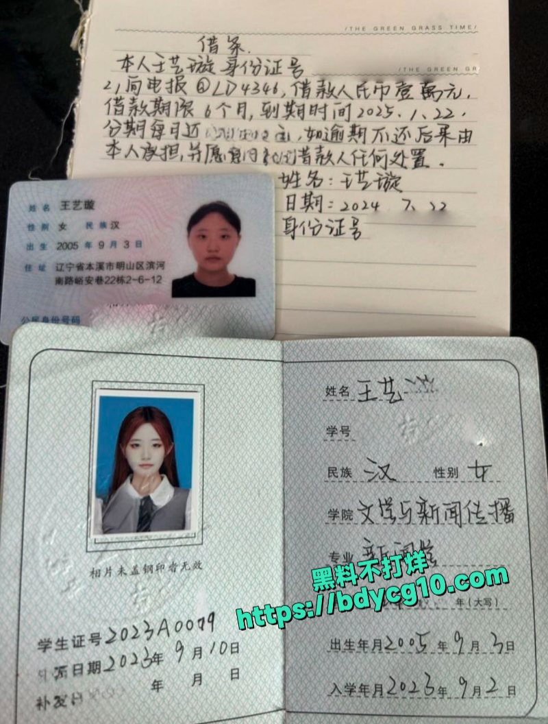 内蒙古民族大学王艺璇反差大学生裸贷曝光1