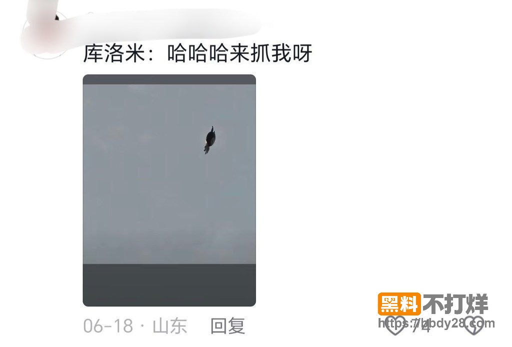 河北飞僵2