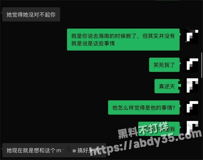 澳洲留学生陈某某脚踏两船捞金实录28