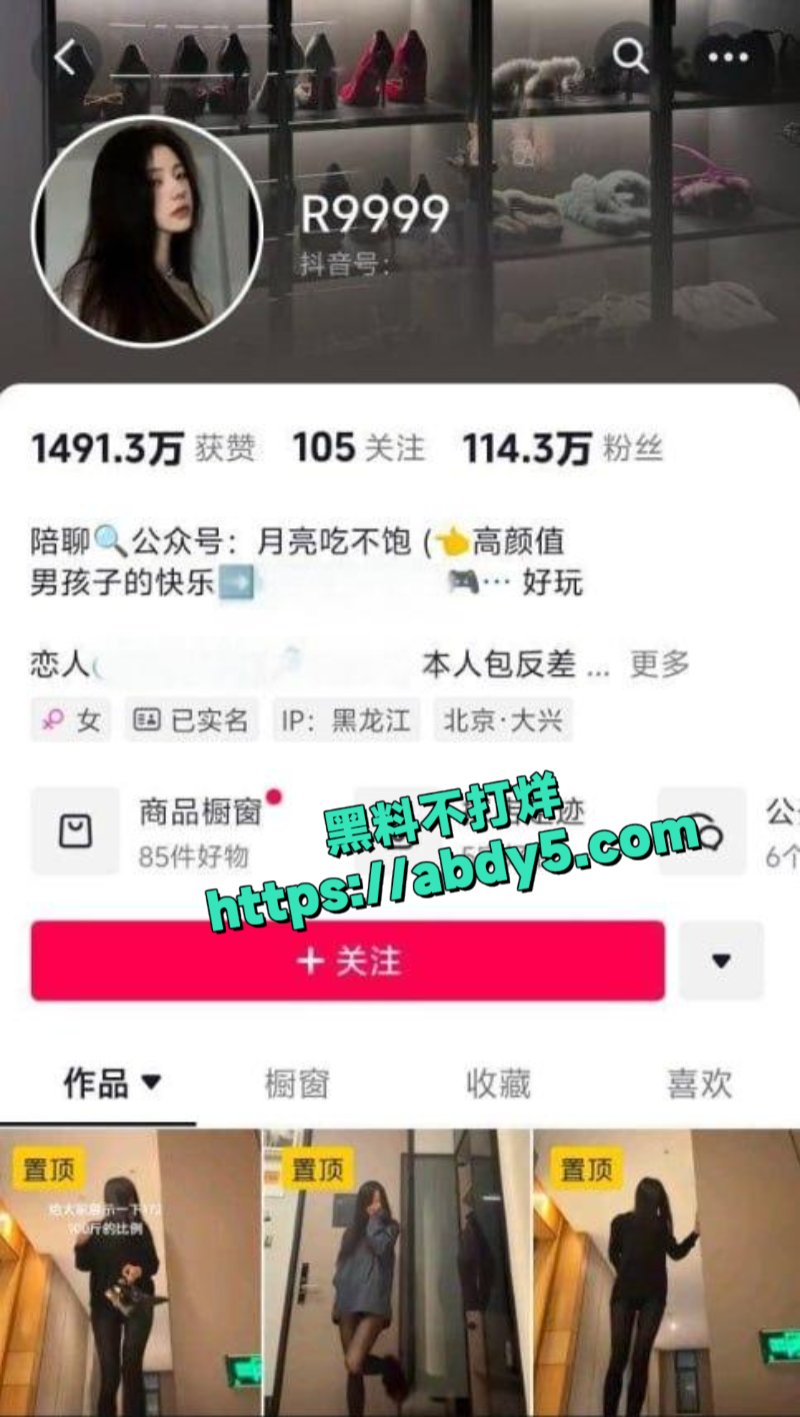 抖音百万粉丝网红R9999