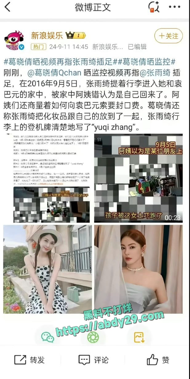 张雨绮被袁巴元前妻实锤代孕 4