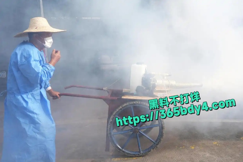 广东乐从镇针对基孔肯雅热5