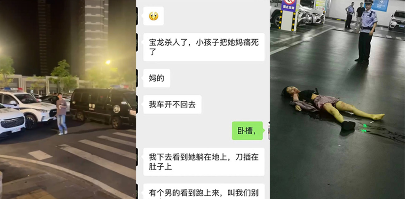 宝龙广场小孩持刀捅刺亲生母亲 为了买九号电动车捅母亲五十多刀 这种畜生多小都得判死刑