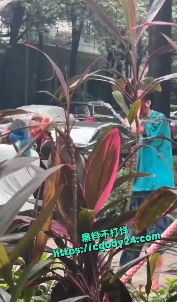 新世界一男子5