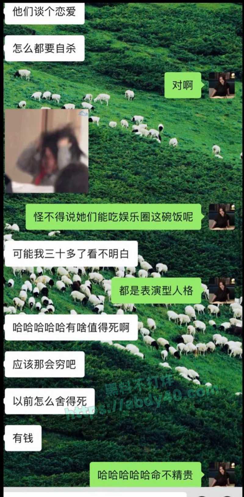 张杰出轨谢娜小三上位22
