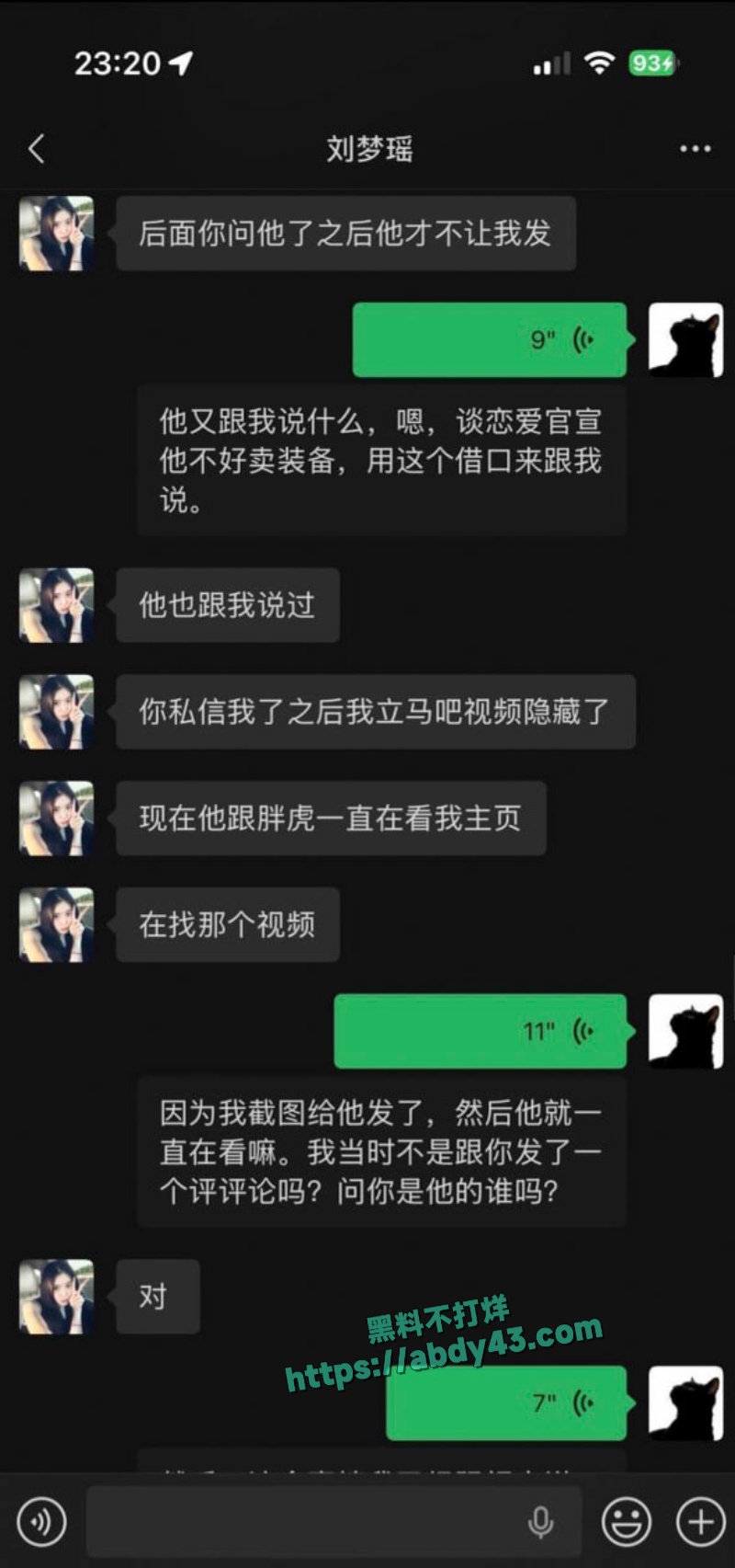 武汉W车队不吃猪肝 8