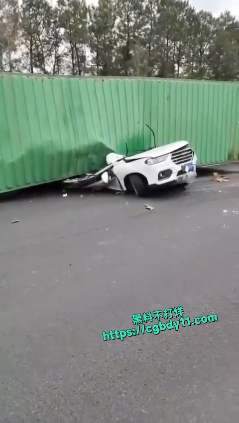 宁波杭甬高速车祸一辆货车侧翻压扁一小轿车 (6).jpg