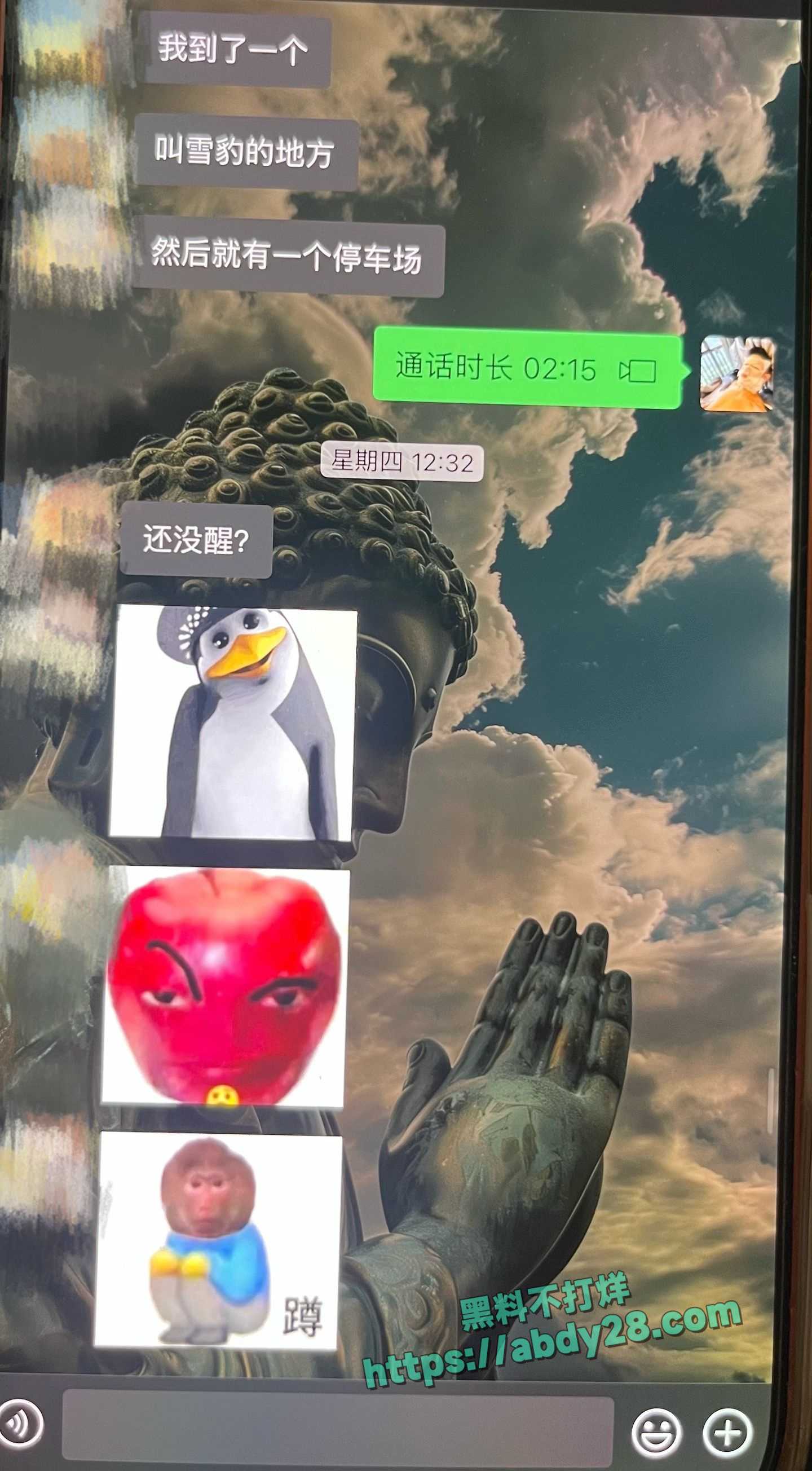 抖音藏族网红董朱被原配锤渣男 17