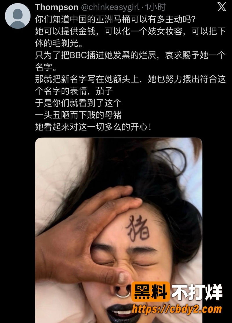 广东媚黑母猪HY黑爹落地 12
