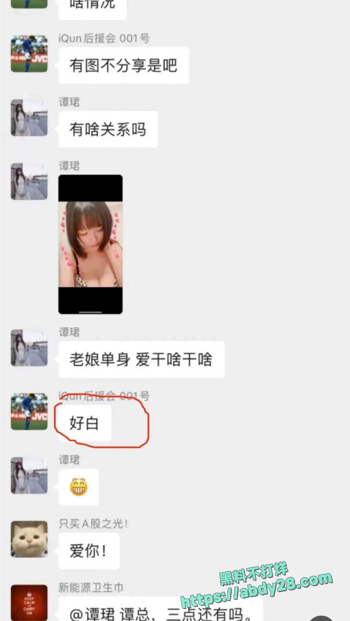 4000点分析师谭珺爆料怀了广发基金杨冬孩子 16