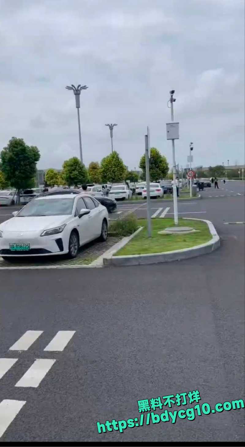 比亚迪汉疑似刹车失灵7