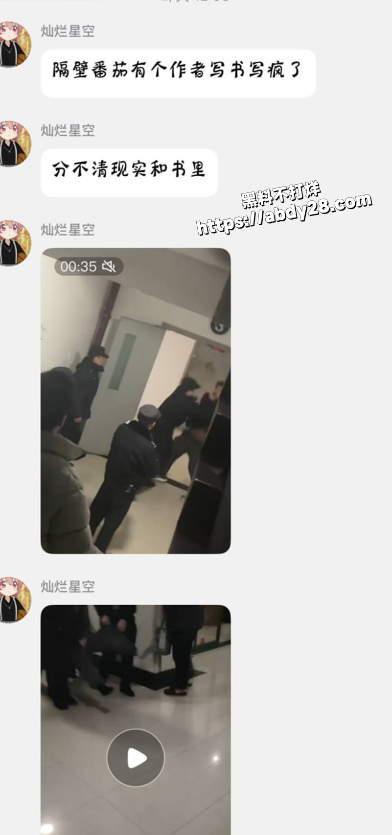 二次元作者写小说写疯了6