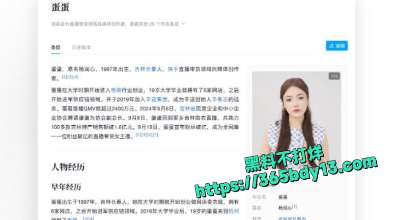 知名电商主播辛巴16