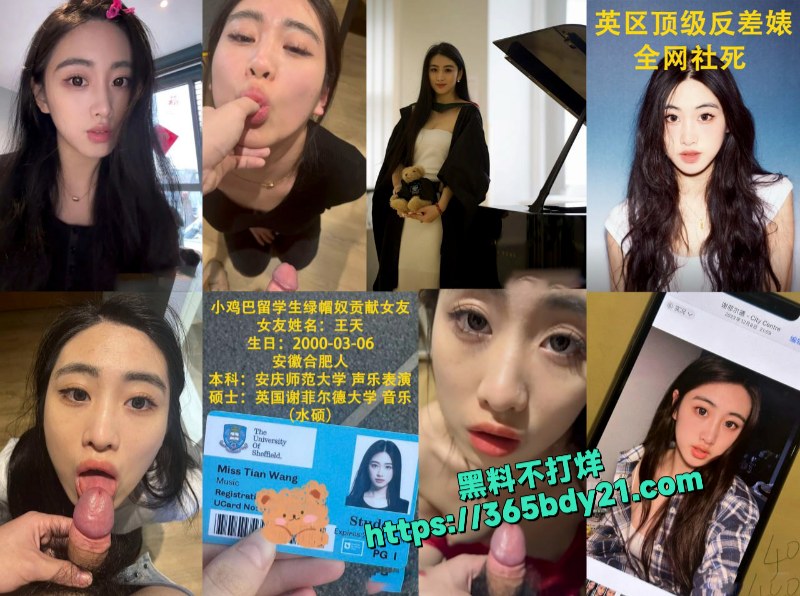 英国谢菲尔德大学绿帽奴贡献顶级留学生女友 8