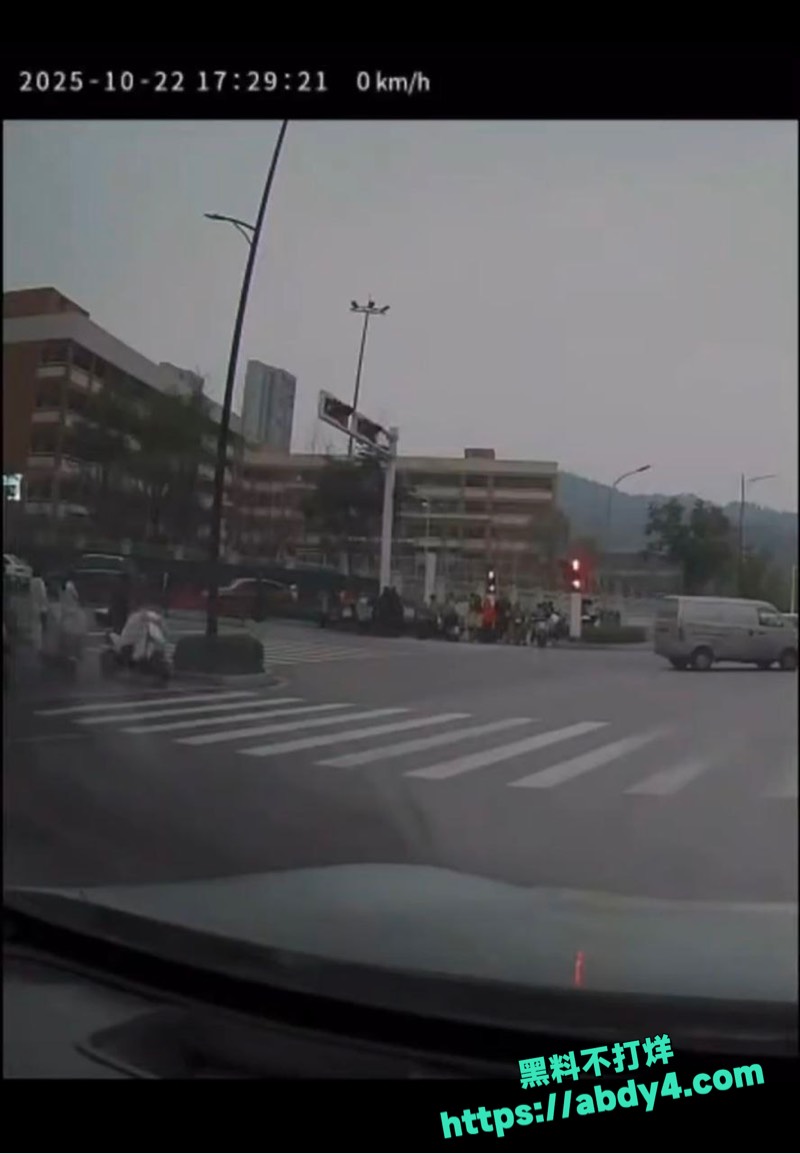 十堰某小学门口车祸视频全曝光 1