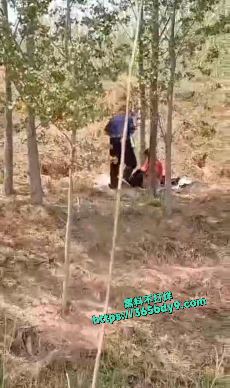 同性恋野战被拍1