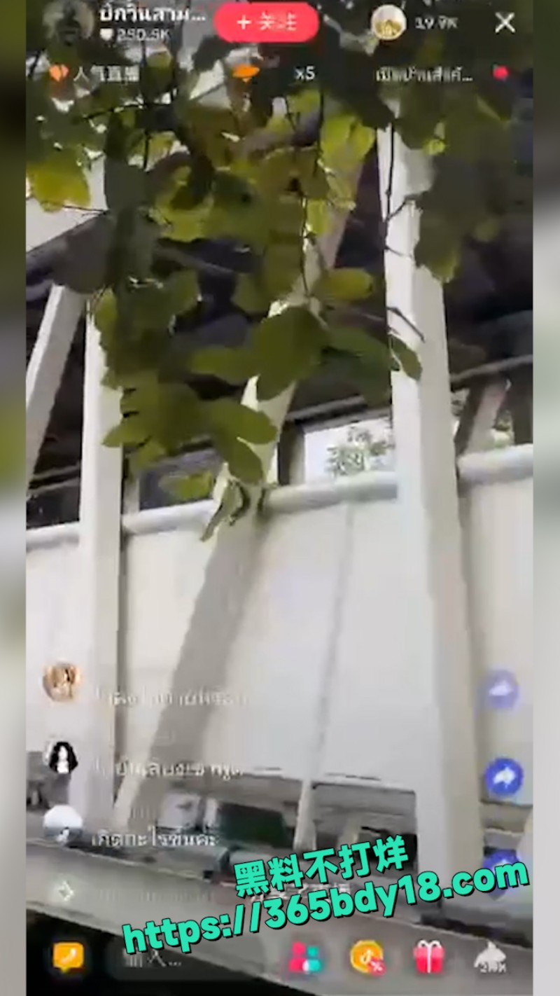 推特泰国曼谷 11
