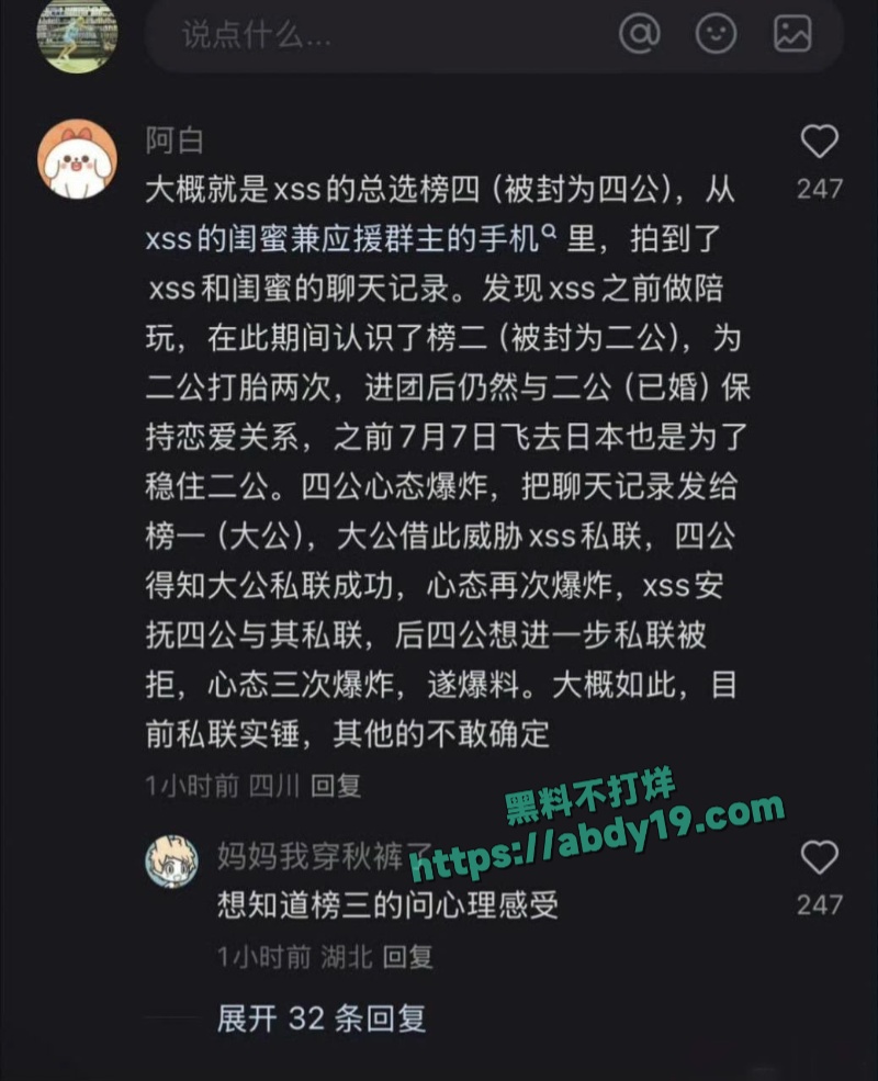 女团成员谢珊珊陪睡大佬视频 6
