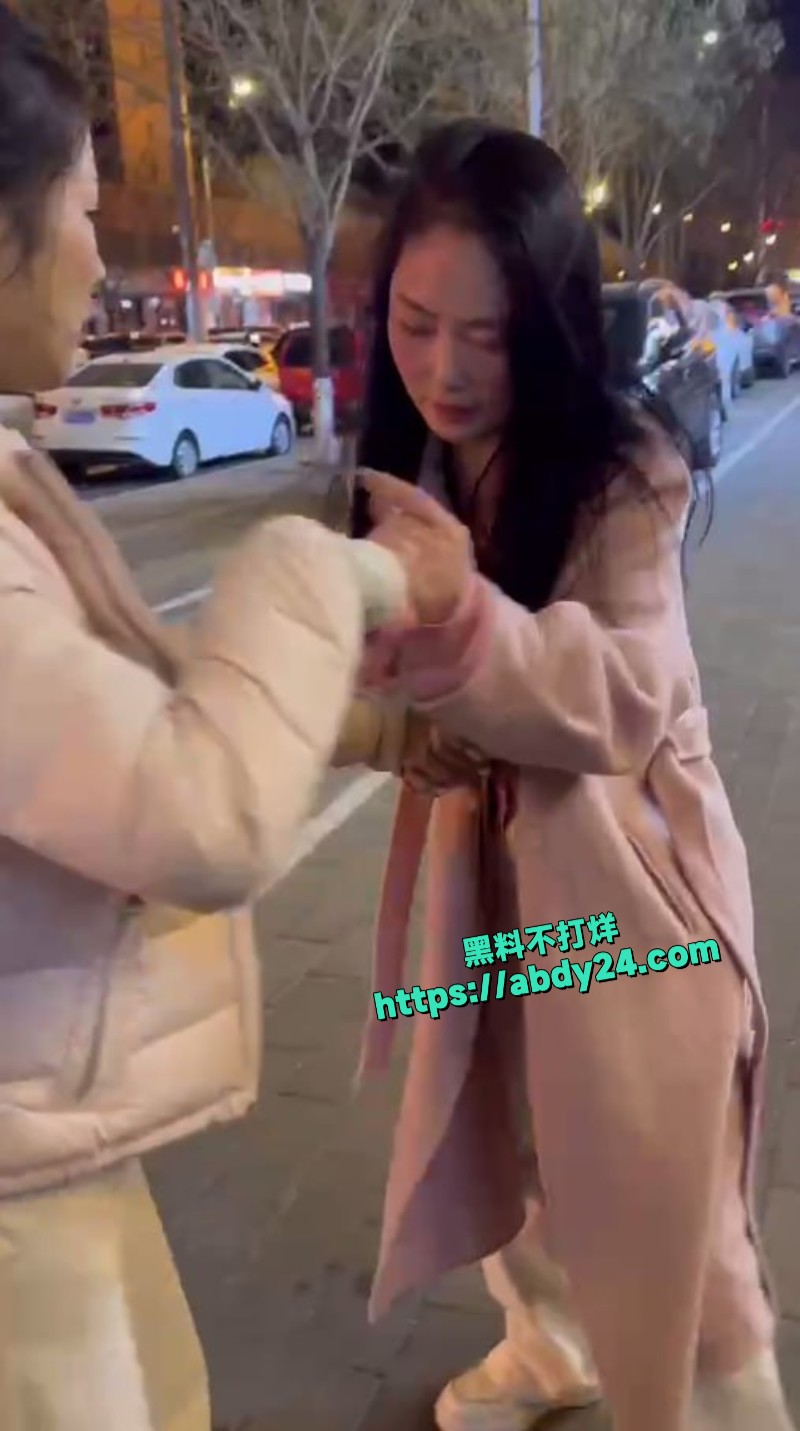 河南焦作街头抓小三现场5
