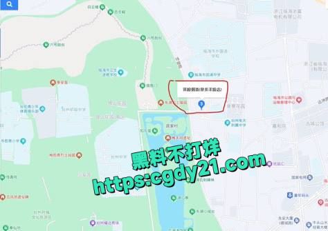 浙江省台州市临海古城附近发生警匪枪击案18