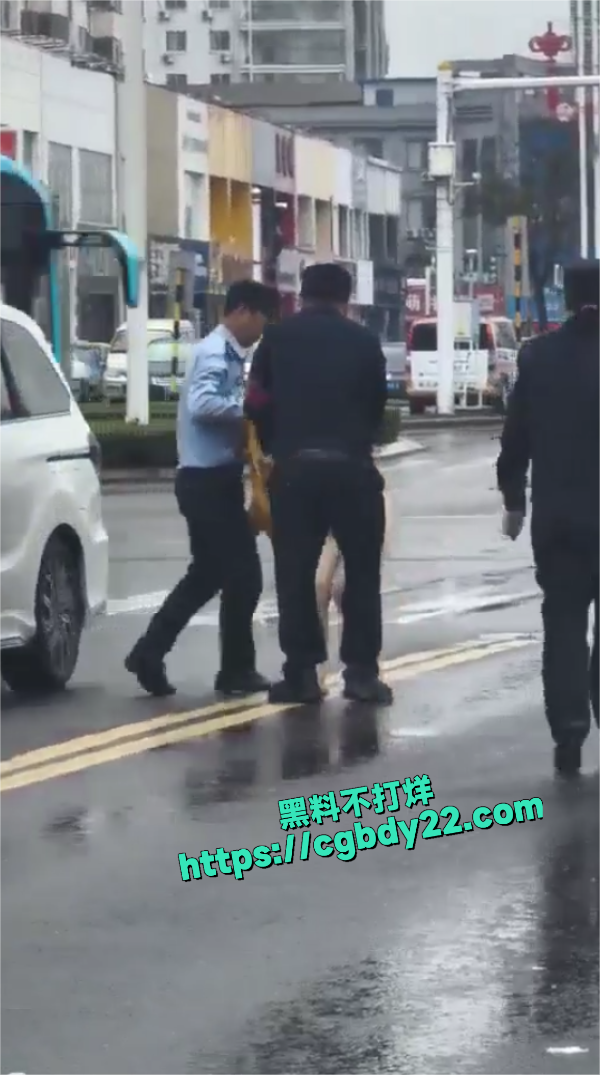 山东泰安一女子裸奔3