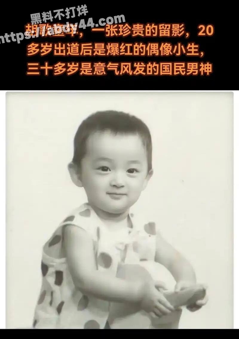 胡歌的瓜30