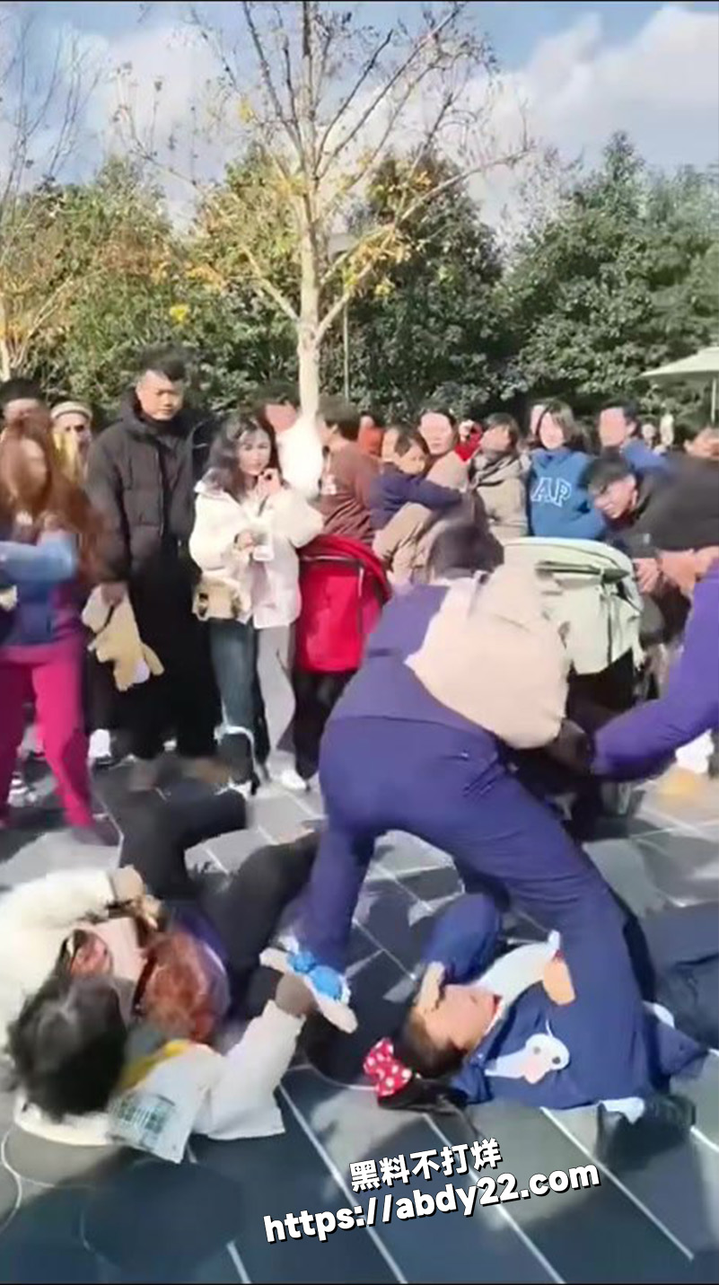 在上海迪士尼公园8