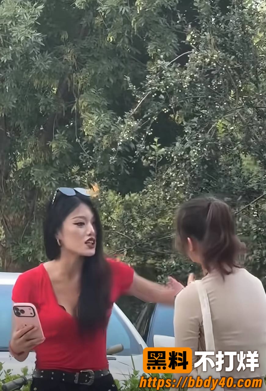 红衣上衣女子打小三  2