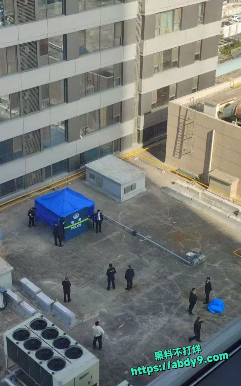 河北绿色外套少年高楼一跃坠亡全程8