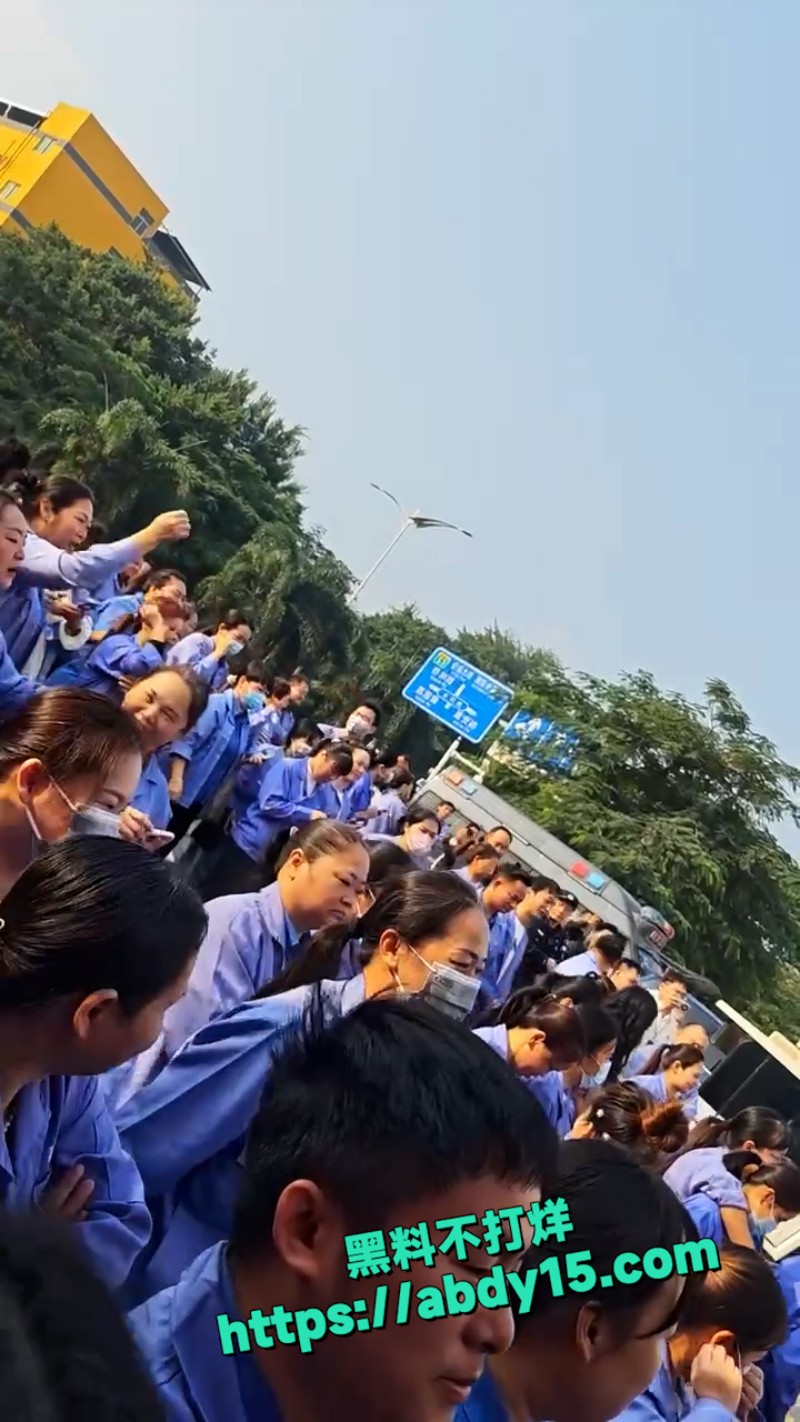 深圳易力声科技有限公司罢工事件 13
